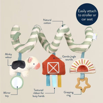Spiral activity toy