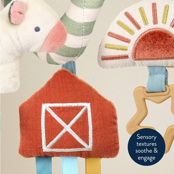 Spiral activity toy
