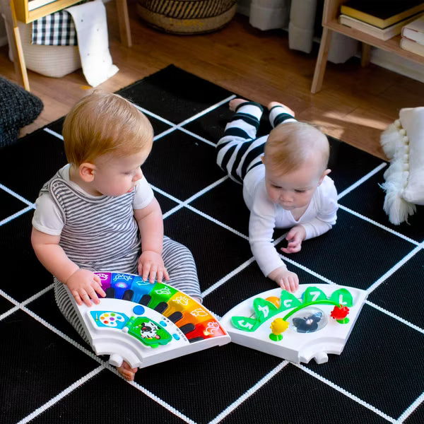 Baby Einstein Grown in Activity Center