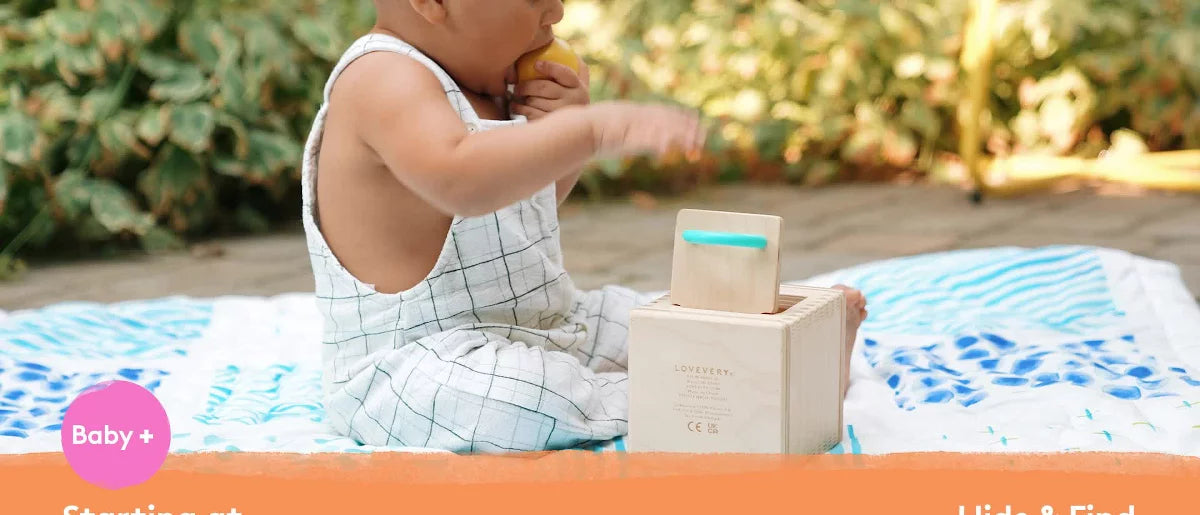 Loveevery Hide & Find Drop Box Baby Toy